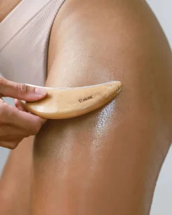 Body Plane