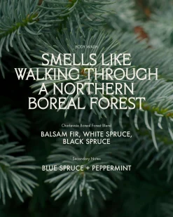 Body Wash Charlevoix Boreal Forest Blend
