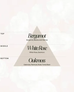 Clean Candle Starter Set