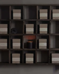 Crowd Pleaser