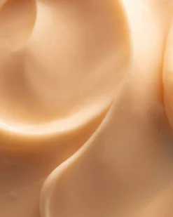 Dream Bio-Retinol + Shorea Butter Night Cream