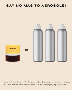 Dry Shampoo con Arrowroot