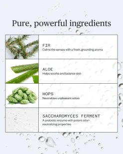 Forest Fix Spray Deodorant with Sage & Sandalwood