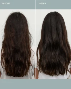 FOUNDATION Shampoo
