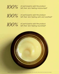 Ginger Turmeric Makeup Removing Cleansing Balm