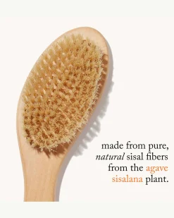 G.Tox Ultimate Dry Brush
