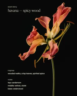 havana - hydrating hand cream