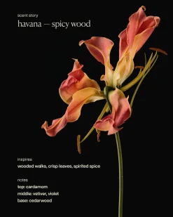 havana - restorative hand wash