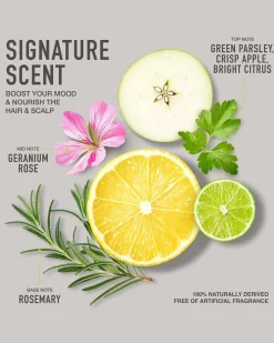 Holistic Benefits Leave-In Hair Serum