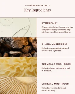 La Crème Hydratante – Beta-Glucan Mushroom Moisturizer