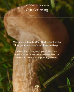La Crème Hydratante – Beta-Glucan Mushroom Moisturizer