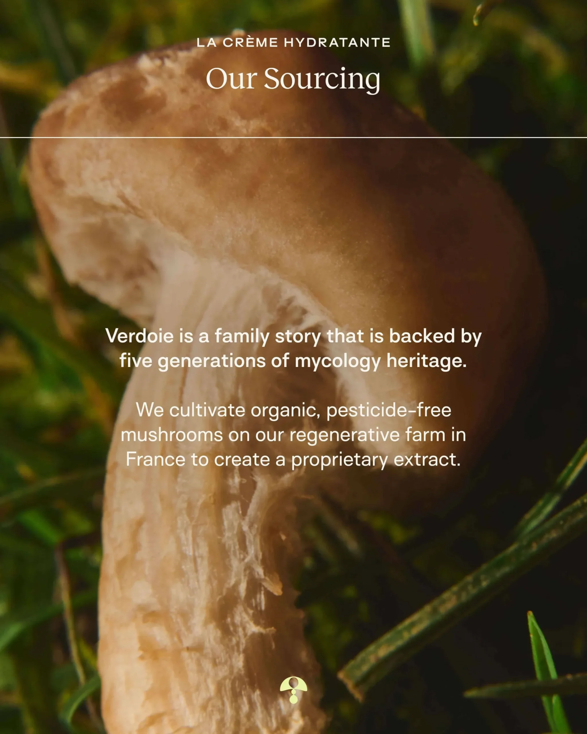 La Crème Hydratante – Beta-Glucan Mushroom Moisturizer