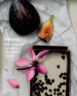 MIDAS - The Hand Serum