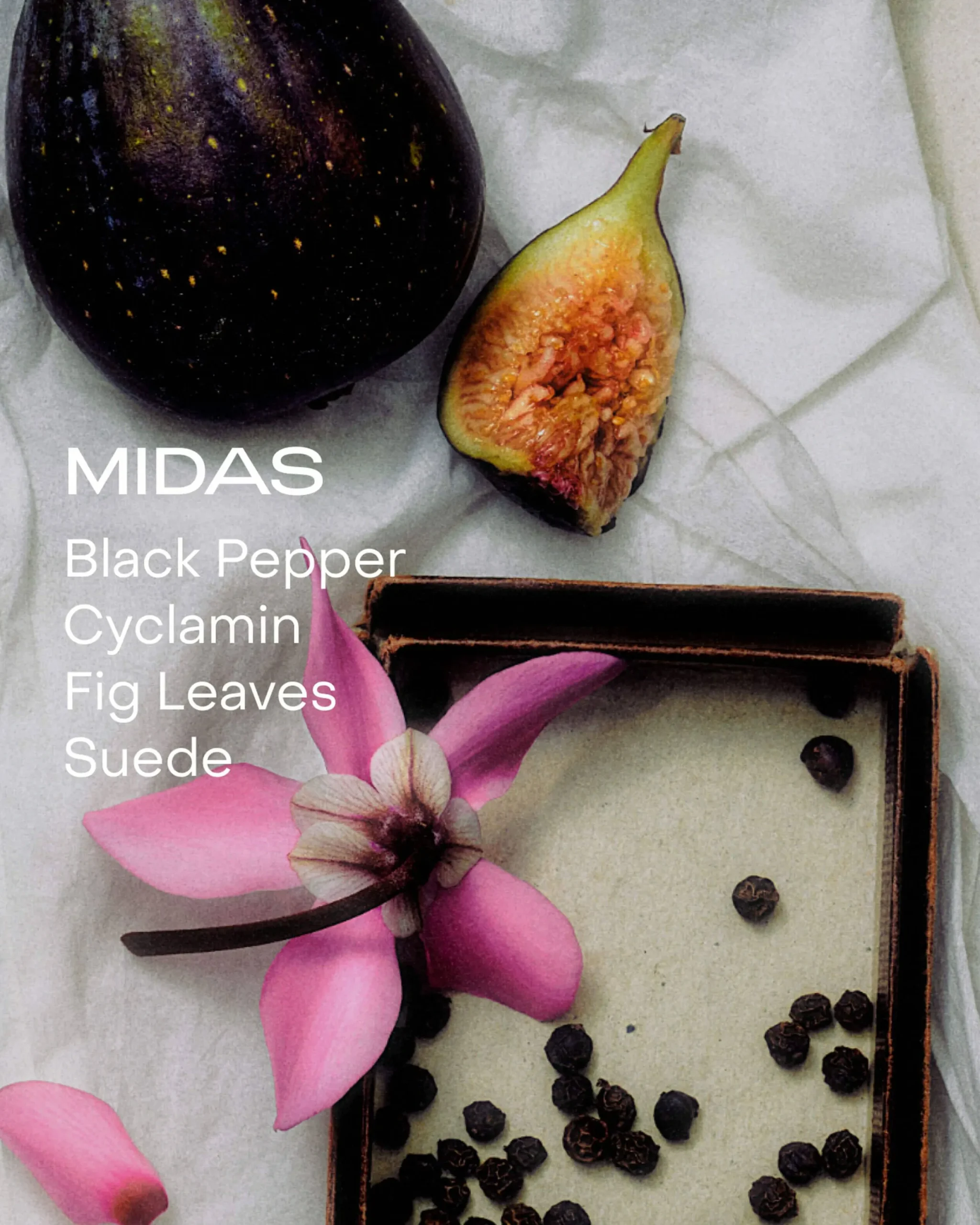 MIDAS: The Solid perfum