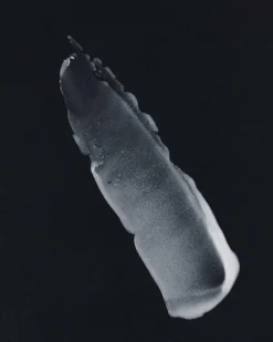 Morphosis Lip Balm
