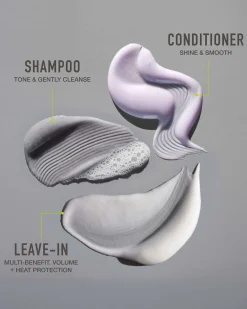 Natural Silver Hair Essentials - Travel Size Kit