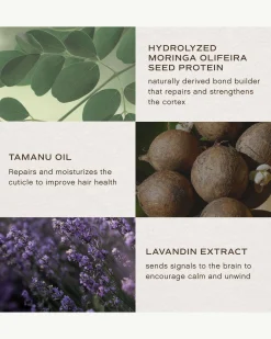 Overnight Repair Serum