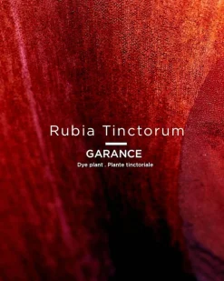 Rouge Tinctorial Lipstick