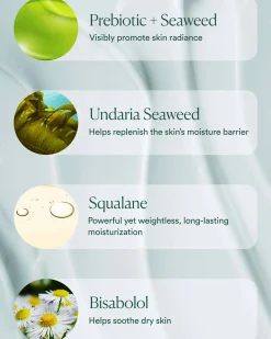 Seabiotic Water Cream
