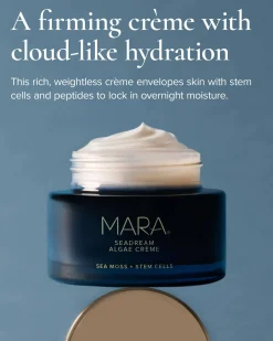 SeaDream Algae Creme Moisturizer for Firming & Tightening with Sea Moss + Peptides
