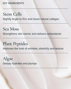 SeaDream Algae Creme Moisturizer for Firming & Tightening with Sea Moss + Peptides
