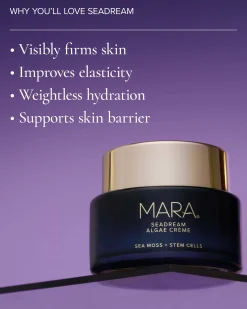 SeaDream Algae Creme Moisturizer for Firming & Tightening with Sea Moss + Peptides