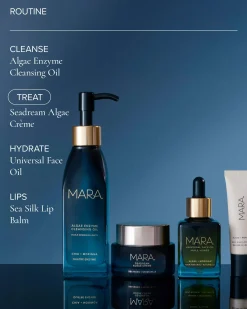 SeaDream Algae Creme Moisturizer for Firming & Tightening with Sea Moss + Peptides