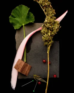 Sour Diesel Eau de Parfum