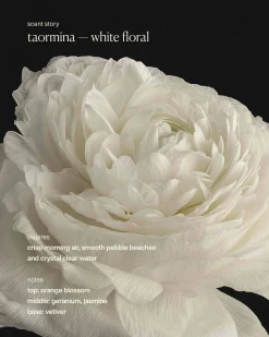 taormina - restorative hand wash