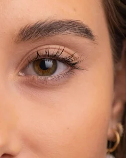 The Brow Serum