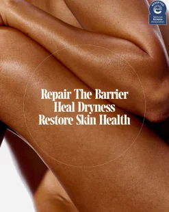 The Body Cream Fragrance Free