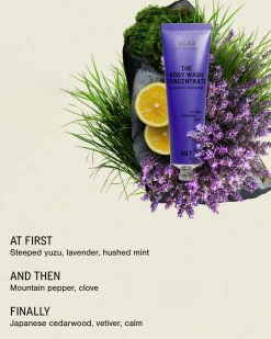 The Body Wash Concentrate SC.03 The Onsen
