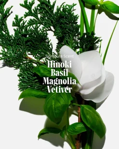 The Body Wash - Hinoki