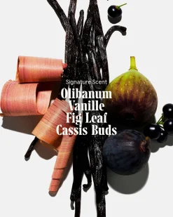 The Body Wash Olibanum