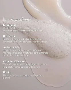 The Power Fol Advanced Scalp and Hair Treatment Shampoo