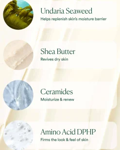 Undaria Algae Body Butter
