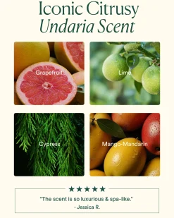 Undaria Algae Body Oil