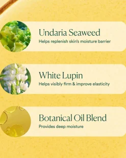 Undaria Algae Body Oil