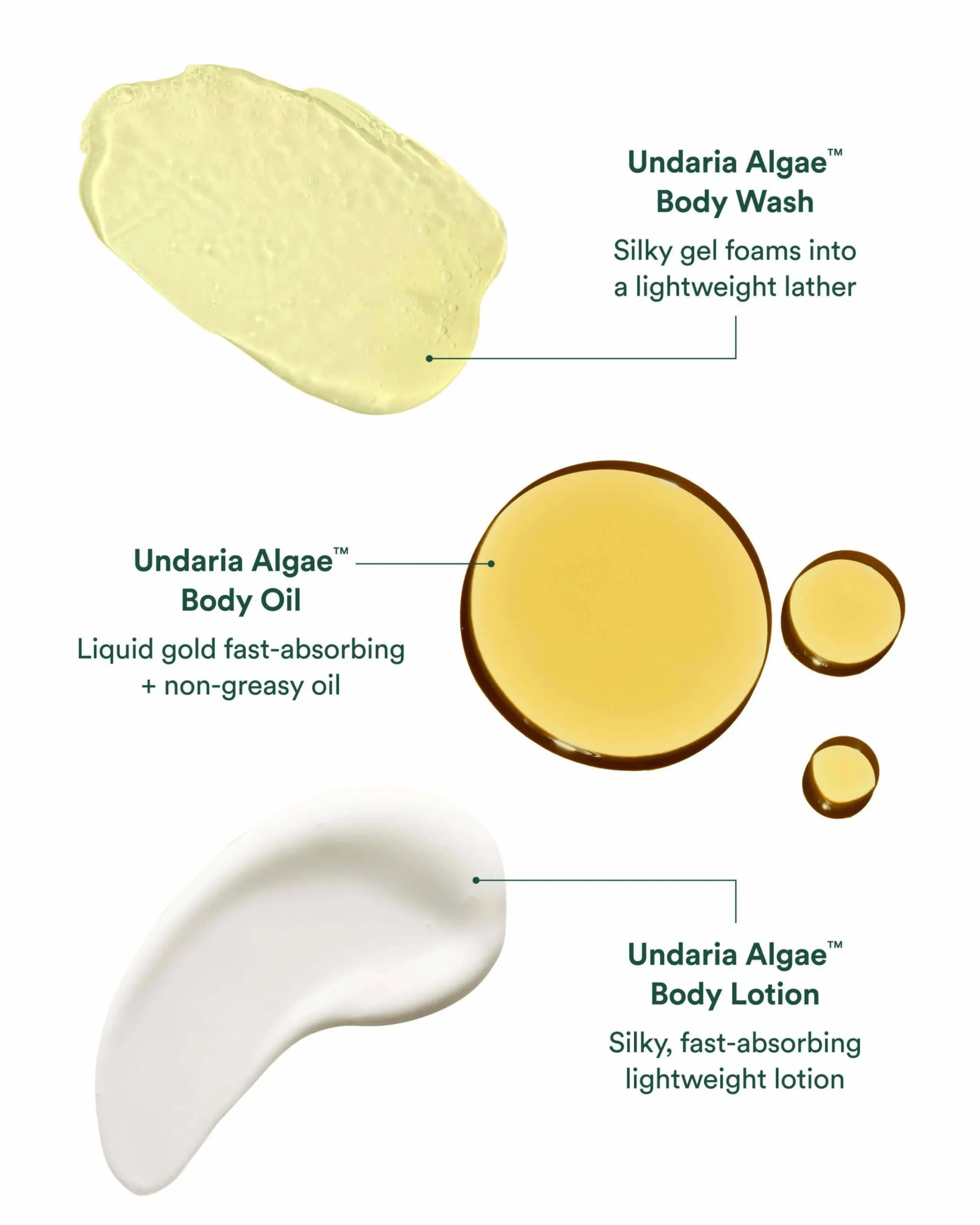 Undaria Body Glow Trio