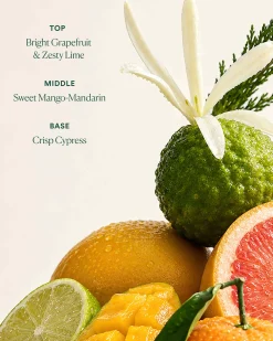 Undaria Uplift Fragrance Mood Oil