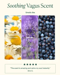 Vagus Nerve Bath Oil