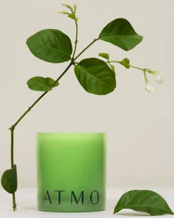 Vetiver Smoke Scented Candle