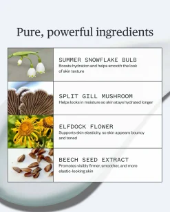 Vital Spring Hydration Mask to Plump & Hydrate Dry Skin